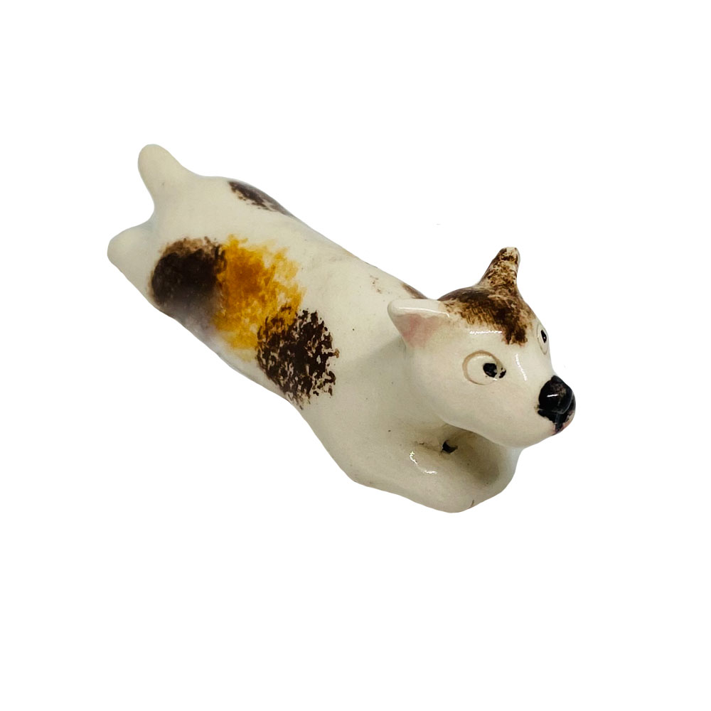 Dog Miniature